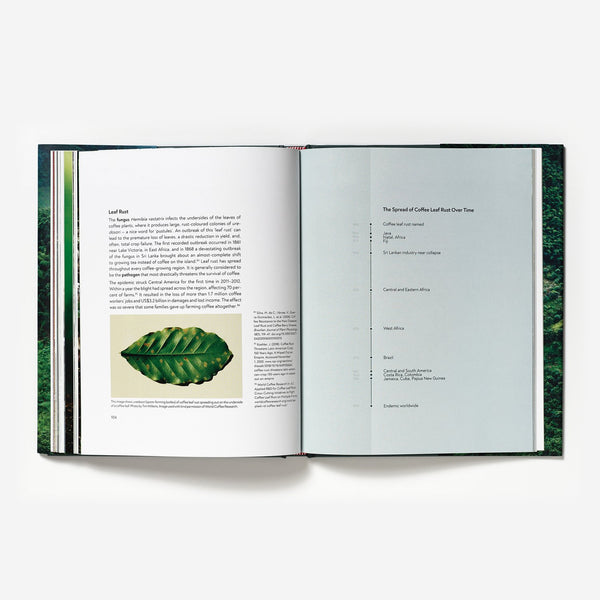 TERROIR- BY BARISTA HUSTLE