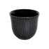 Loveramics 250ml Embossed Tasting Cup (pack of  6)