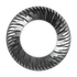 files/Italian_Espresso_non_forata.png