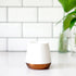 files/Joey-Matte-White-Joey-02_900x_7ea35ba3-c029-41e7-9413-89a233fa4cc9.webp