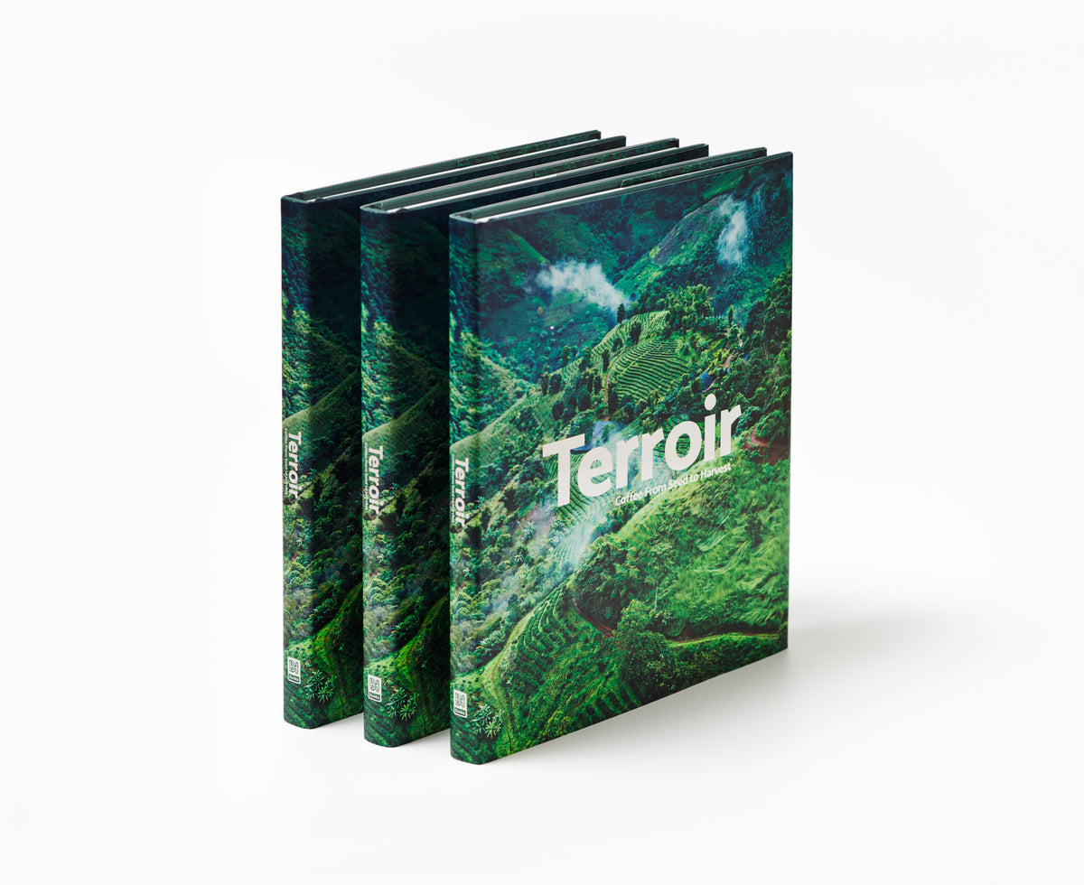 TERROIR- BY BARISTA HUSTLE