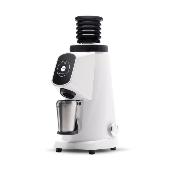 FIORENZATO AllGround ProBrew Single Dose Coffee Grinder